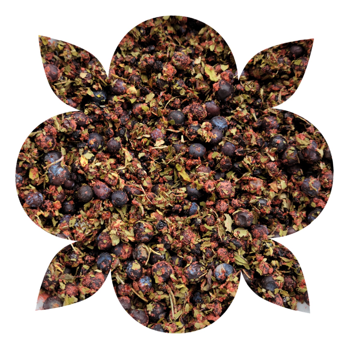 Juniper Elderberry