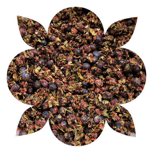 Juniper Elderberry